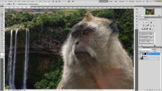 Adobe Photoshop CS5 - Kante verbessern