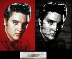 elvis.jpg