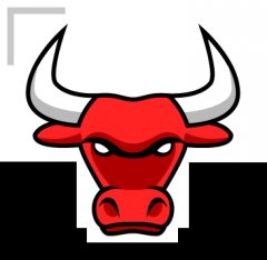 Bull-logo.jpg