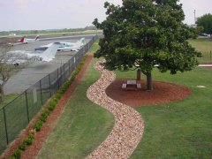 Sidewalk & mag tree Kopie.jpeg