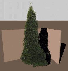 Baum2.gif