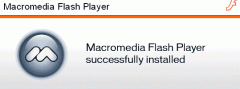 FlashMacro.gif