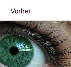 vorher.jpg