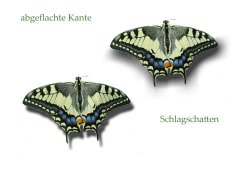 Schmetterling-1.jpg