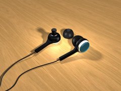 Earstick4.jpg