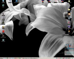 desktop_sommer_2007.jpg