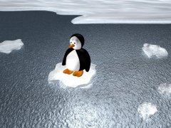 Pinguin bild 005.jpg