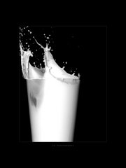 milk__by_LP_photography.jpg