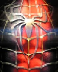 Spidy.jpg