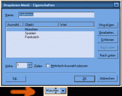 dropdownmenÃ¼.gif