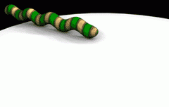 wurm2.gif